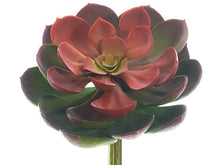 Load image into Gallery viewer, Green Mauve