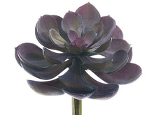 Load image into Gallery viewer, Purple