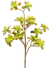 Load image into Gallery viewer, Green Burgundy