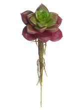 Load image into Gallery viewer, Burgundy Green