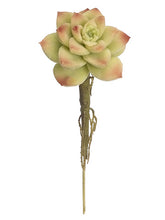 Load image into Gallery viewer, Light Green
