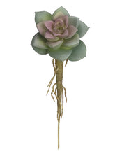 Load image into Gallery viewer, Green Plum