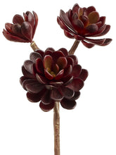 Load image into Gallery viewer, Burgundy