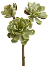 Load image into Gallery viewer, Green