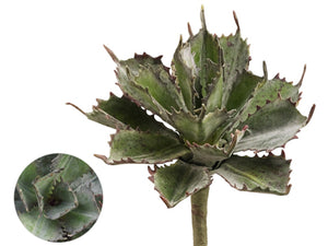 8.5" Agave Pick  Frosted Green (pack of 12)
