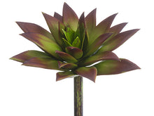 Load image into Gallery viewer, Green Brown