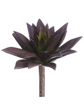 Load image into Gallery viewer, Plum Green