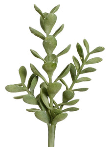 8.5" Mini Jade Plant x3  Green (pack of 12)