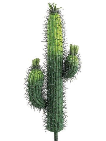 23