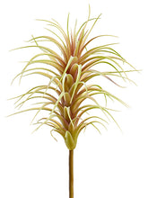 Load image into Gallery viewer, Green Burgundy