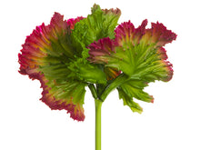 Load image into Gallery viewer, Green Red