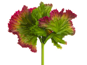 Green Red