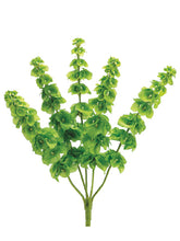 Load image into Gallery viewer, Green