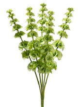 Load image into Gallery viewer, Light Green