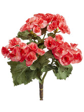 Load image into Gallery viewer, Watermelon