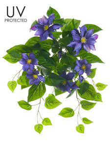 20.5" UV Protected Clematis Bush Purple (pack of 6)