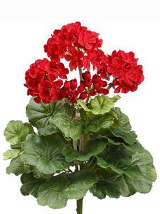 15" Geranium Bush x5  Red (pack of 12)