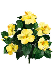 15" Hibiscus Bush x6  Yellow (pack of 12)