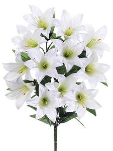 21" Easter Lily Bush x12  White (pack of 12)