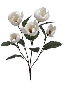 21" Magnolia Bush x5  Cream White (pack of 12)