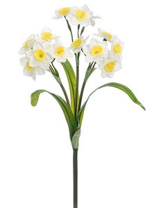 14" Narcissus Bush  White Yellow (pack of 12)