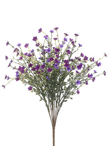 20" Phlox Flower Bush x11  Purple Violet (pack of 12)