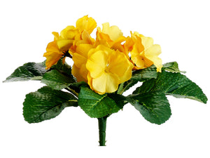 6" Primula Bush  Yellow (pack of 24)