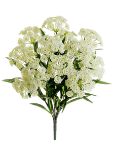 17" Queen Anne's Lace Bush x12 Cream (pack of 6)