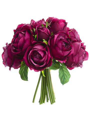 Beauty Fuchsia
