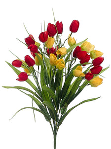 19" Tulip Bush x11  Red Yellow (pack of 12)