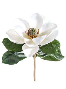 14" Magnolia Pick  White (pack of 6)