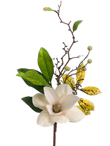 24" Magnolia Pick  Cream Mauve (pack of 12)