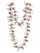 Load image into Gallery viewer, Cream Orchid