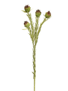 22" Mini Allium Spray x4  Green Brown (pack of 12)