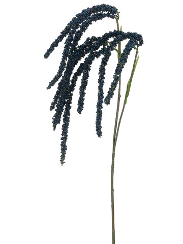 Blue Navy