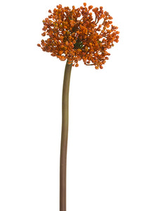 24" Allium Spray  Orange Brown (pack of 12)
