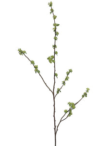 40" Budding Branch  Green (pack of 12)