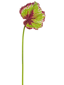 19" Begonia Leaf Spray  Green Burgundy (pack of 12)