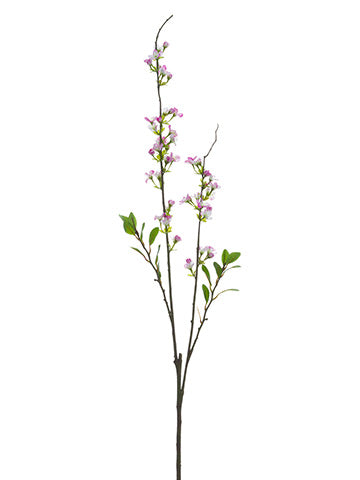 Cerise White