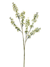 Load image into Gallery viewer, White