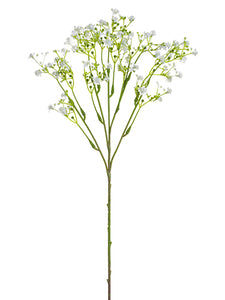 19" Baby's Breath Spray  White (pack of 12)