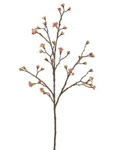 Load image into Gallery viewer, Fuschia