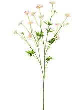 Load image into Gallery viewer, Cream Pink