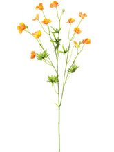 Load image into Gallery viewer, Peach