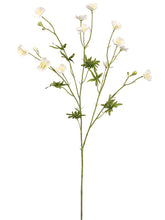 Load image into Gallery viewer, White