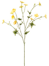 Load image into Gallery viewer, Yellow