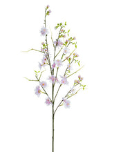 Load image into Gallery viewer, Pink Cerise