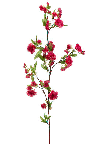 Beauty Cerise