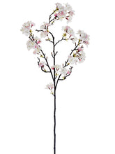 Load image into Gallery viewer, Pink Cream