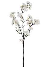 Load image into Gallery viewer, White Cream